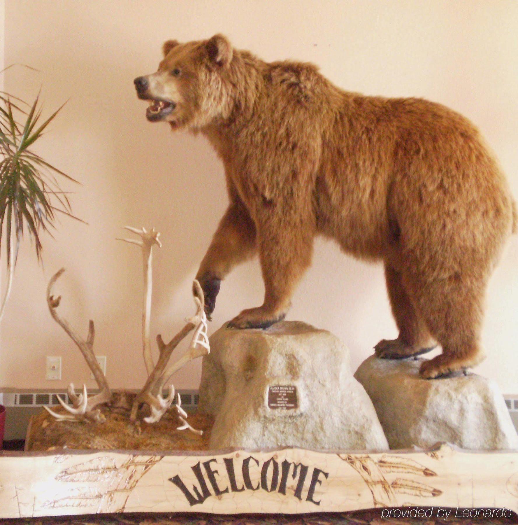 Kenai Airport Hotel Extérieur photo