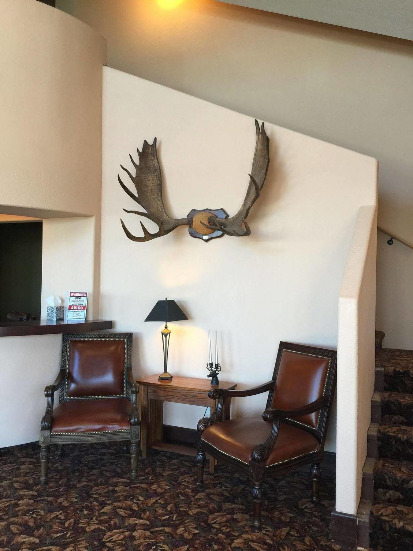 Kenai Airport Hotel Extérieur photo